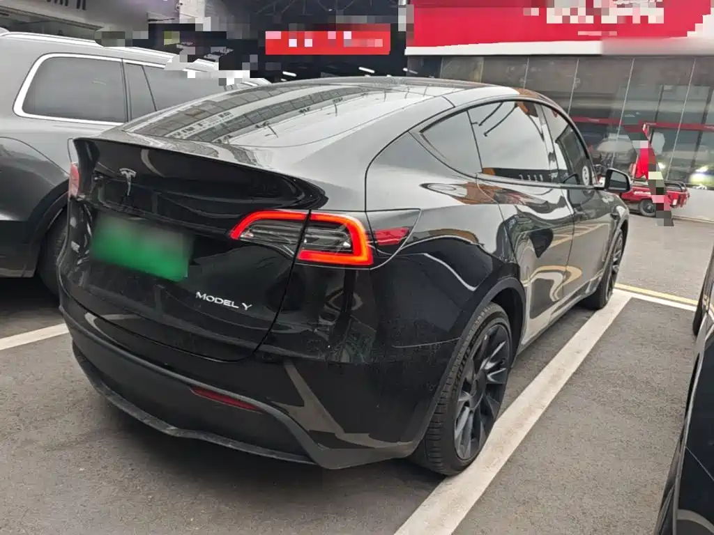 Tesla Model Y — миниатюра 7