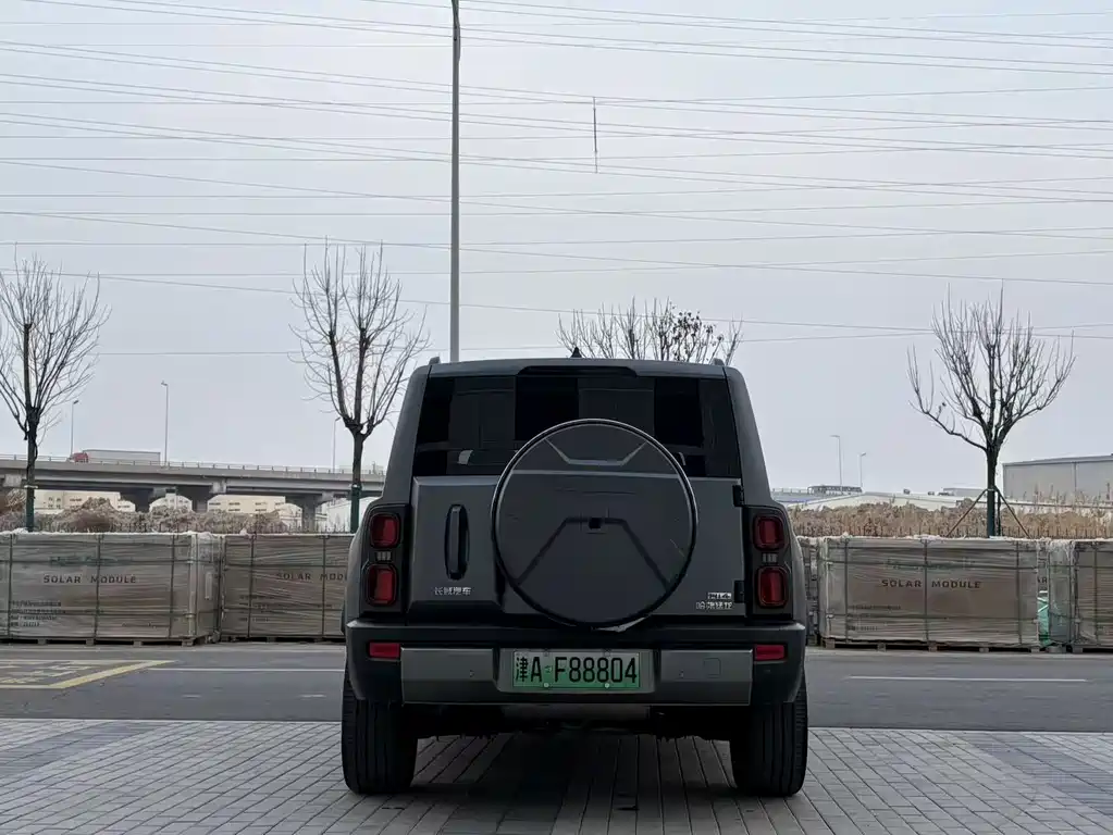 HAVAL RAPTORS NEW ENERGY