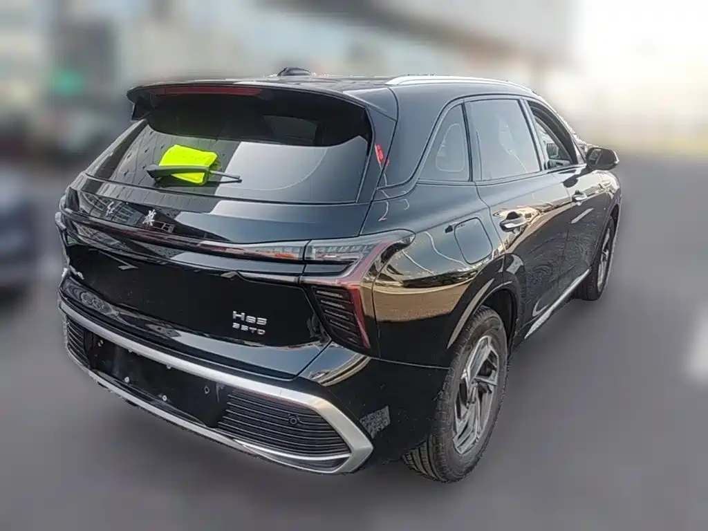 Hongqi Hongqi HS3 — миниатюра 10