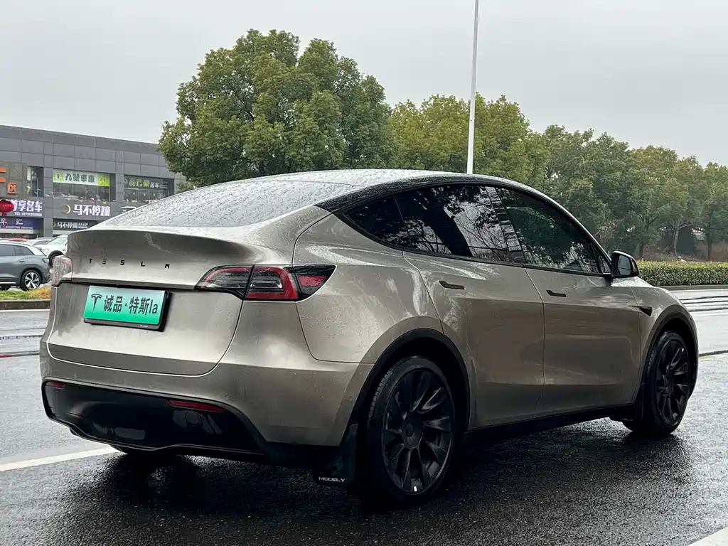 TESLA MODEL Y