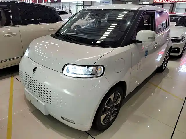 2021 Ora R2/White Cat
