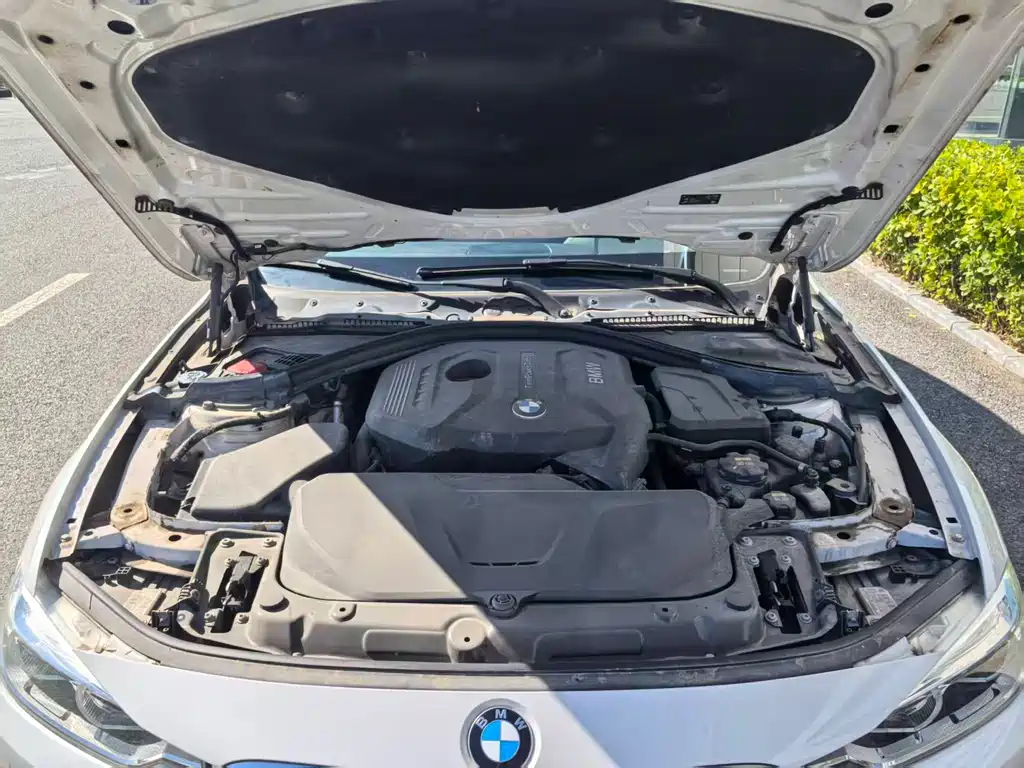 BMW 3 Series — миниатюра 15