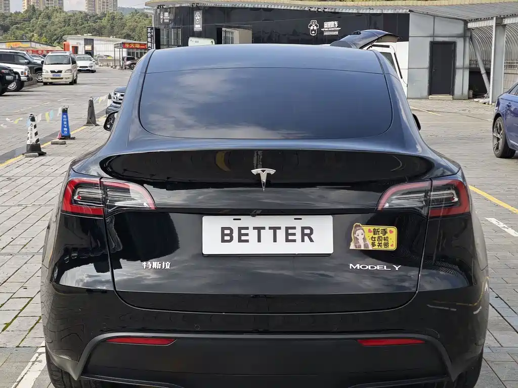 Tesla Model Y — миниатюра 5