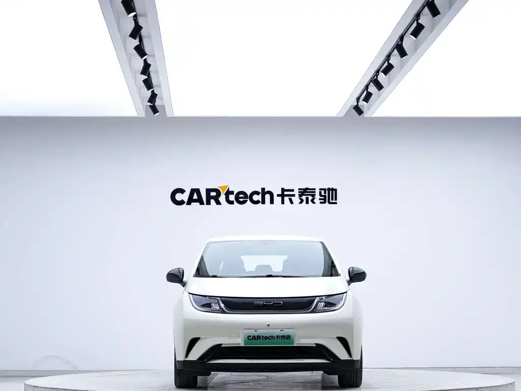 BYD Dolphin — миниатюра 2