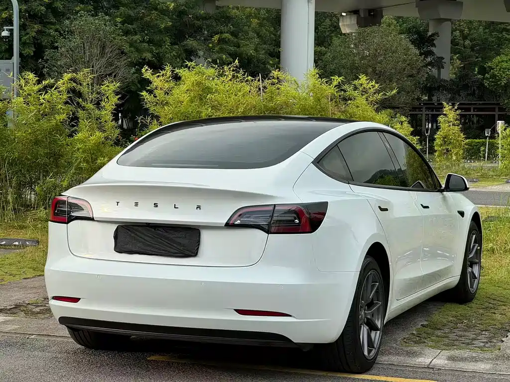 Tesla Model 3 — миниатюра 11