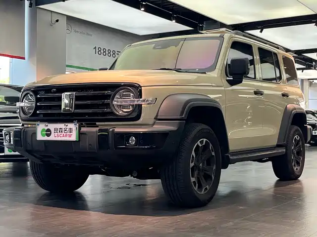 TANK TANK 300 NEW ENERGY 2025