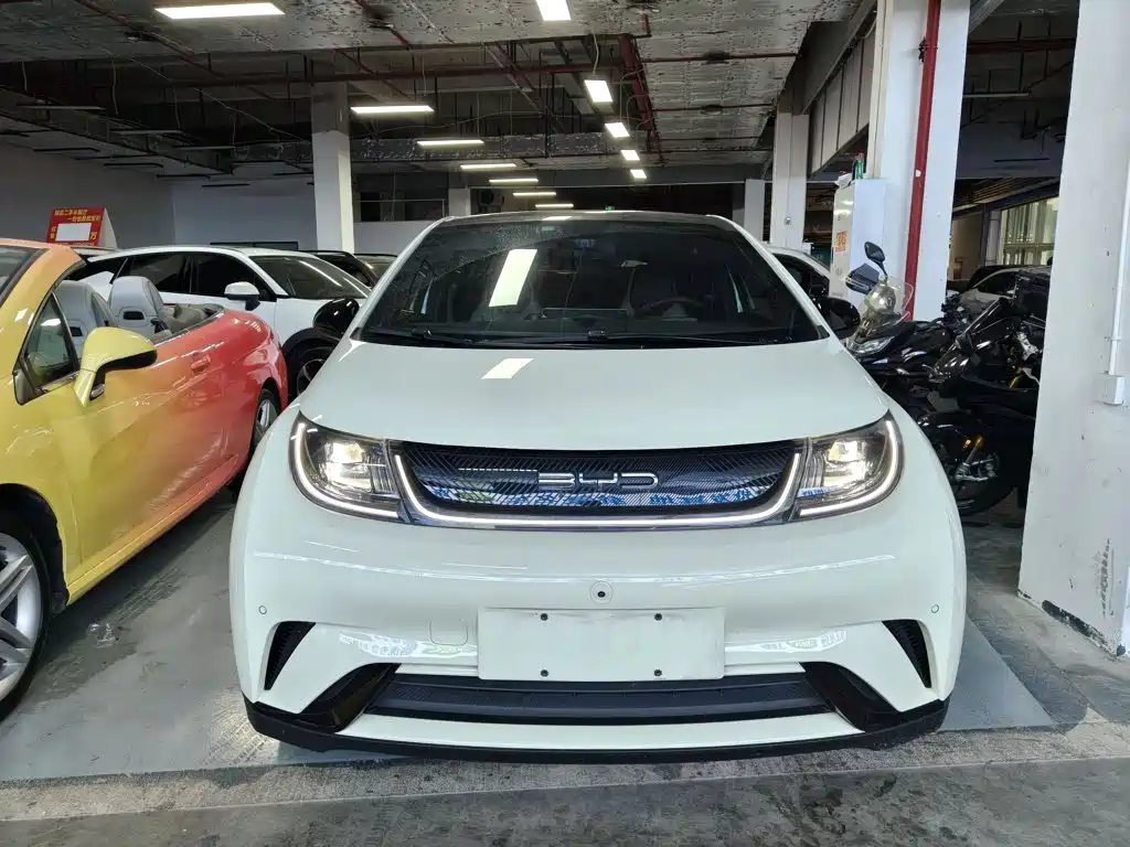 BYD Dolphin — миниатюра 3
