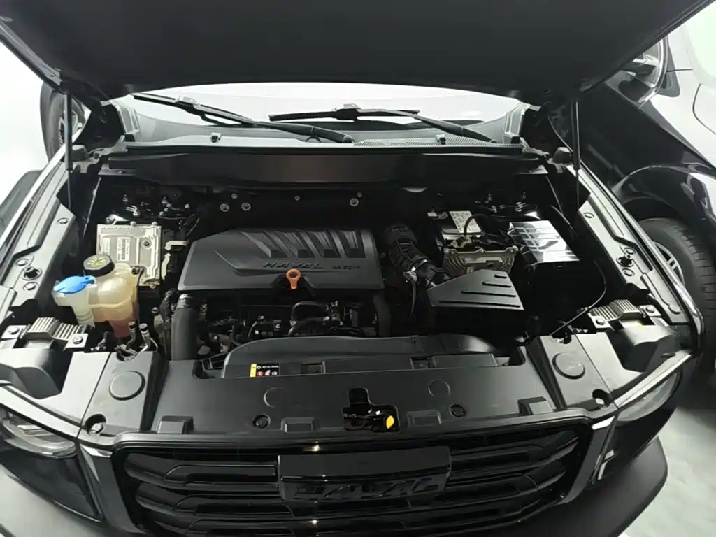 Haval Big Dog — миниатюра 20