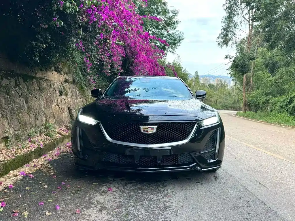 Cadillac CT5 — миниатюра 2
