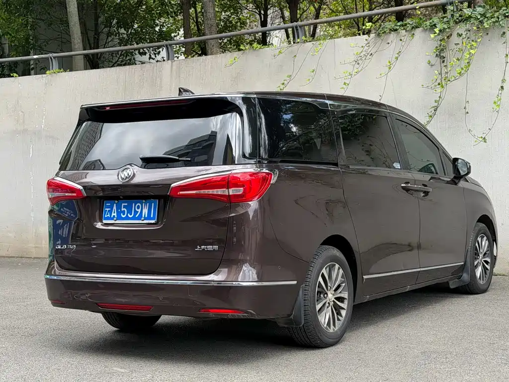 Buick GL8 — миниатюра 9