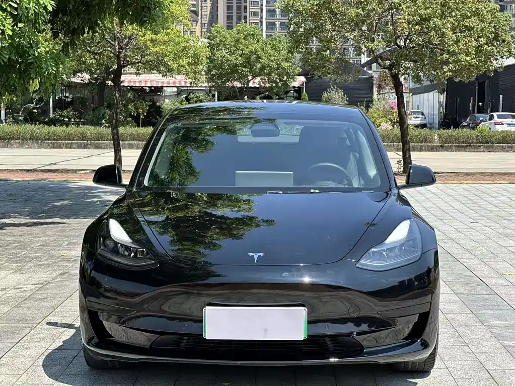 Tesla Model 3 — миниатюра 2
