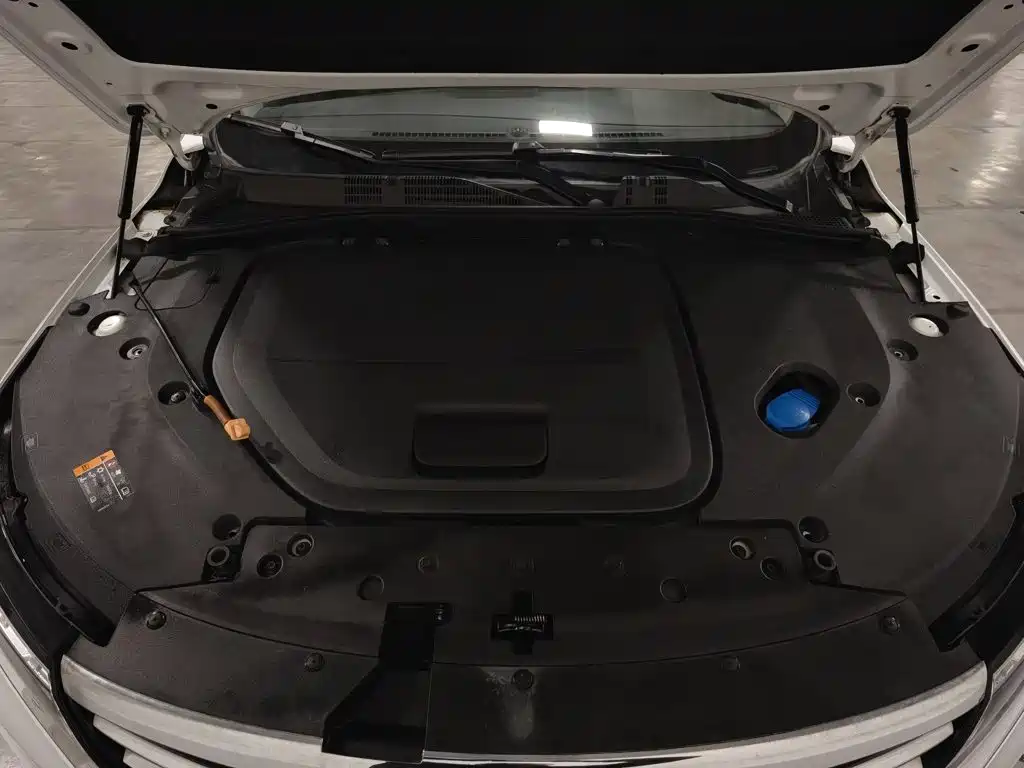 Roewe RX5 New Energy — миниатюра 6