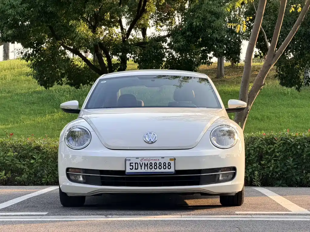 Volkswagen Beetle — миниатюра 2