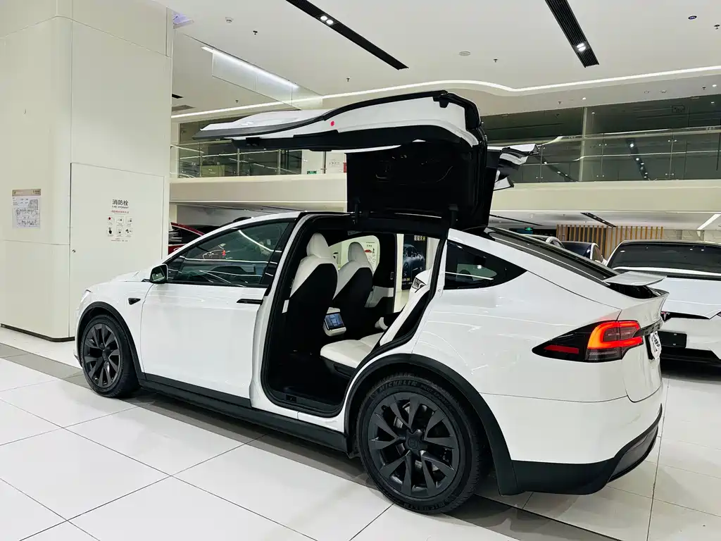 Tesla Model X — миниатюра 20