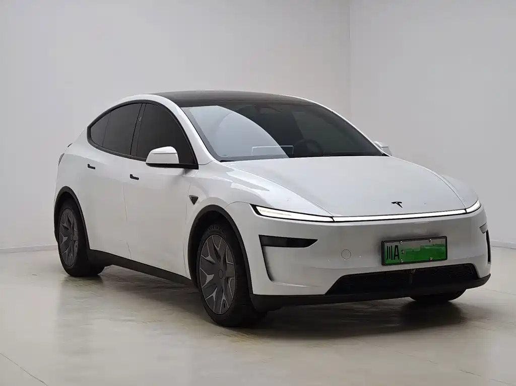 Tesla Model Y L — миниатюра 3