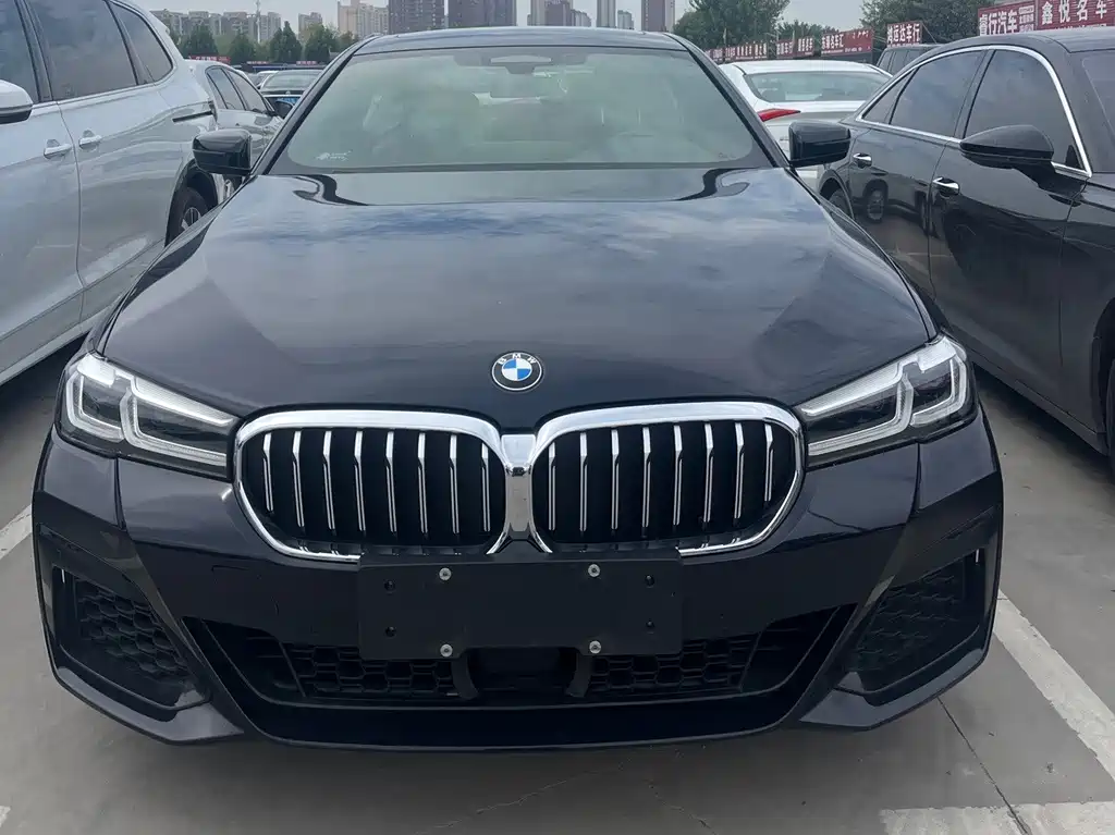 BMW 5 Series New Energy