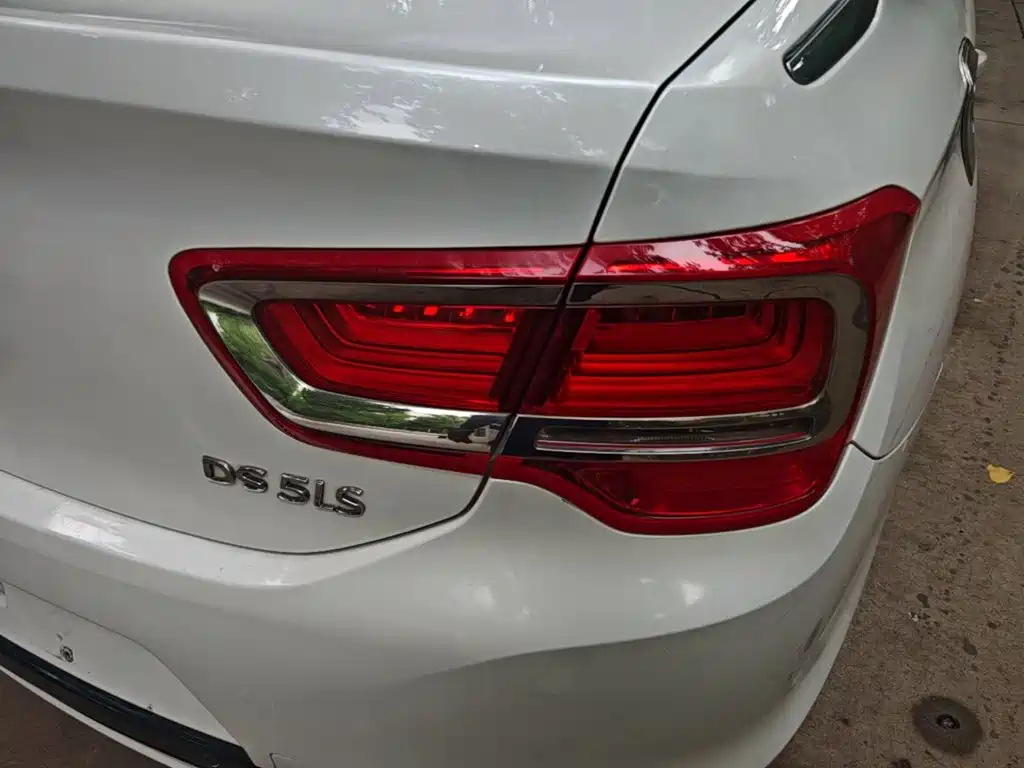 DS DS 5LS — миниатюра 8