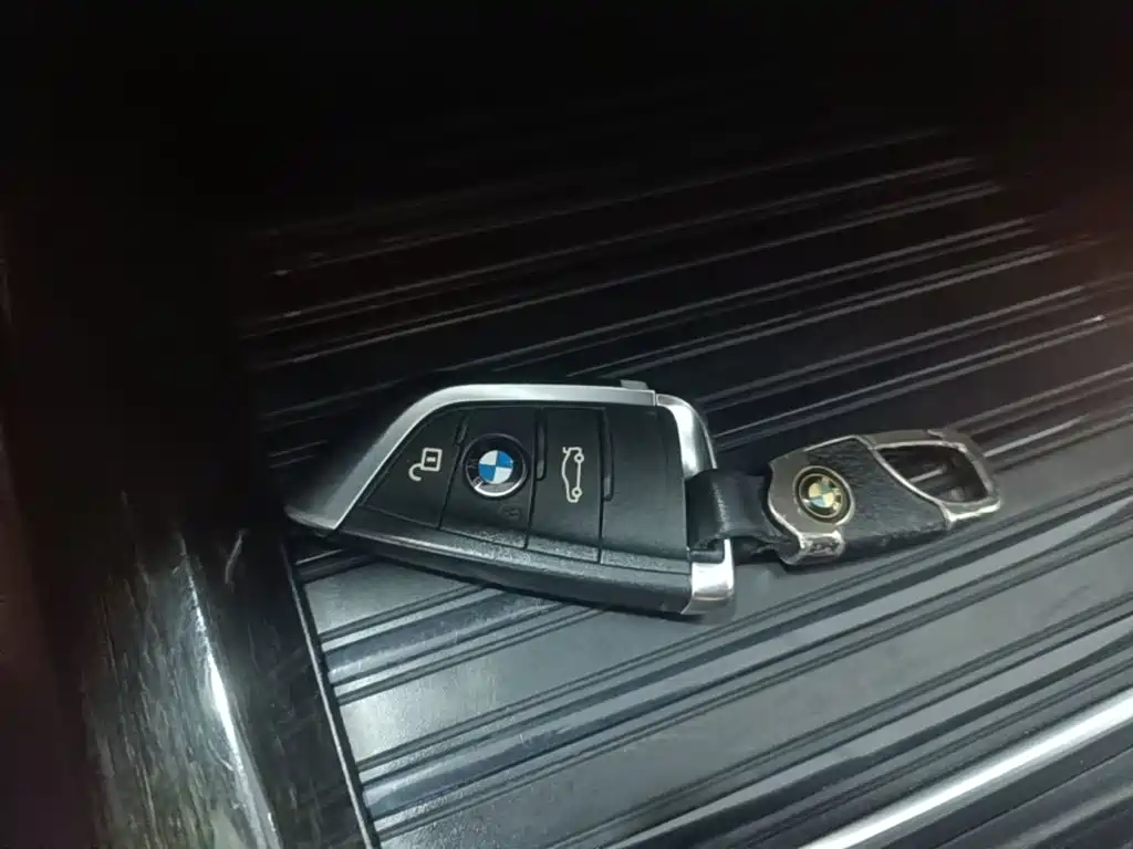 BMW X5 (Import) — миниатюра 9