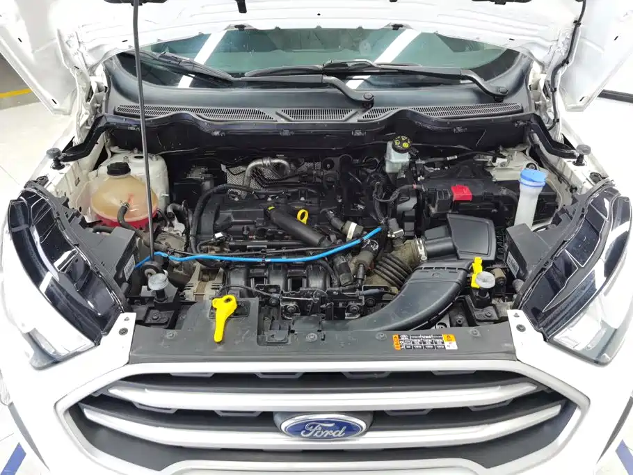 Ford Ecosport — миниатюра 10