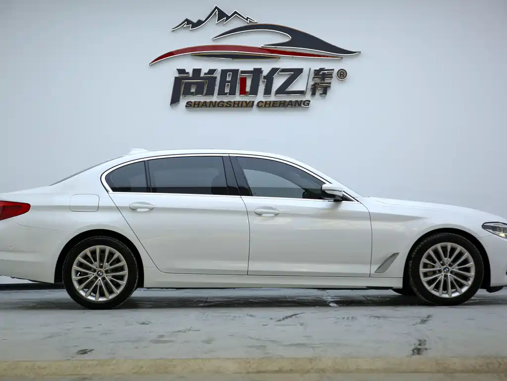BMW 5 Series 5 2020 530Li Lead Luxury