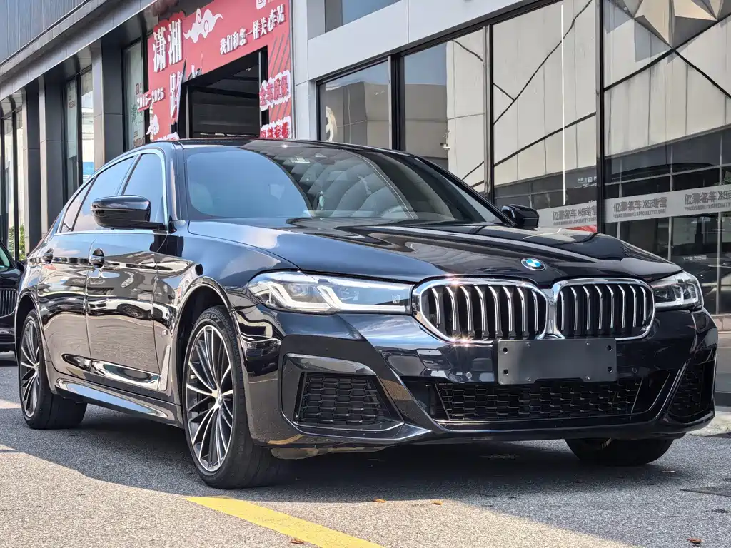 BMW 5 Series — миниатюра 3