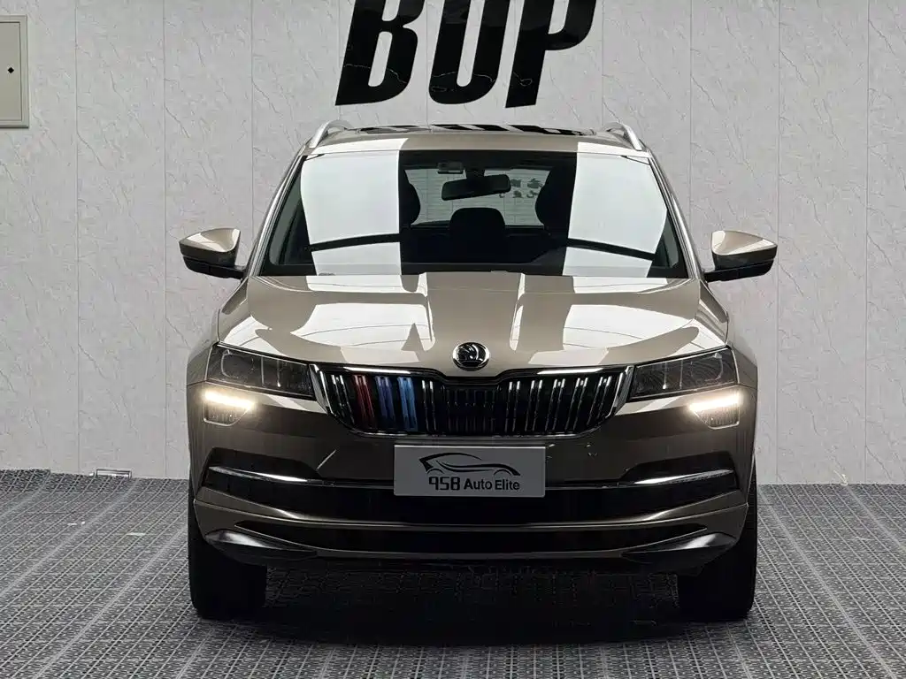 Skoda Karoq — миниатюра 2