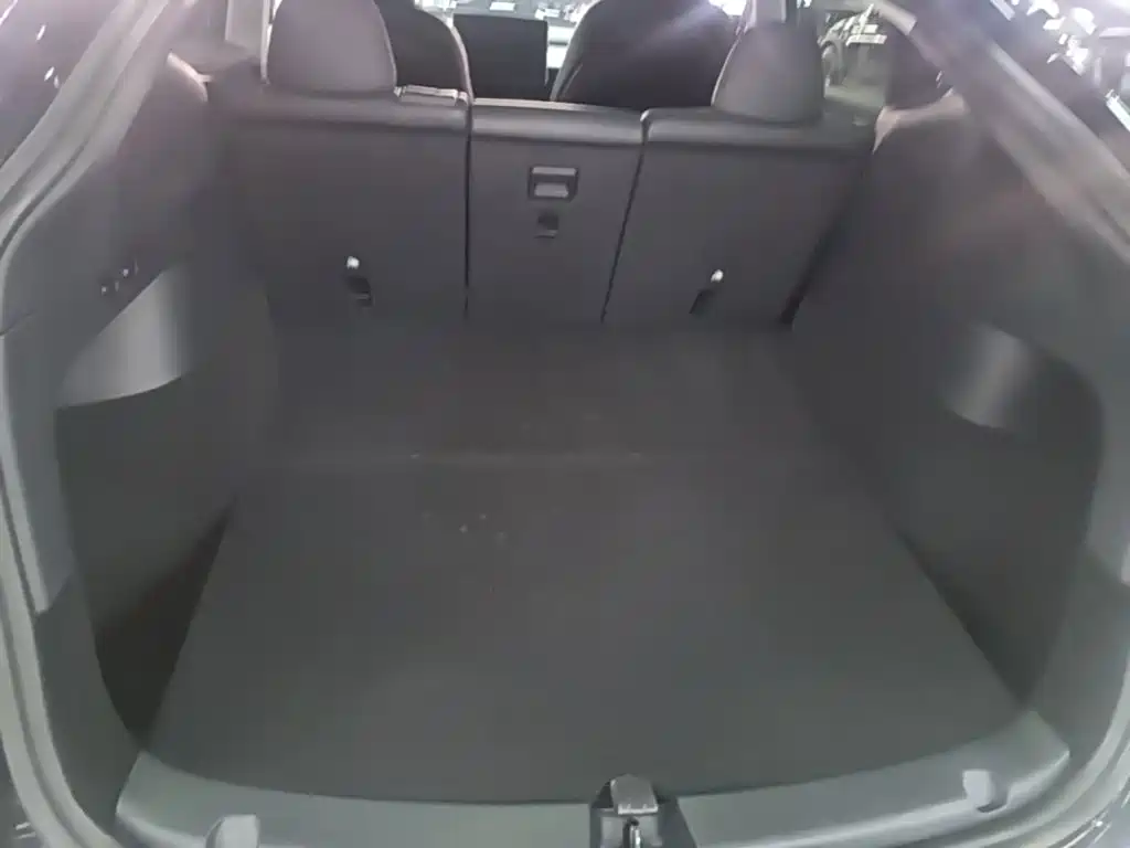 Tesla Model Y — миниатюра 19