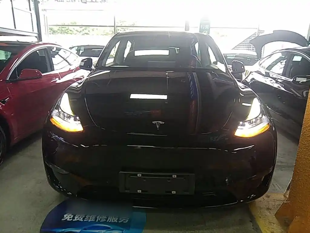 Tesla Model Y — миниатюра 3