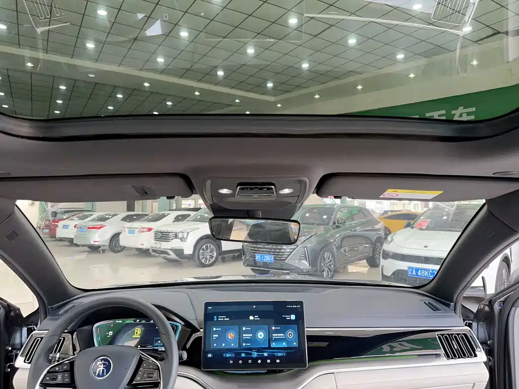 BYD PLUS New Energy — миниатюра 15