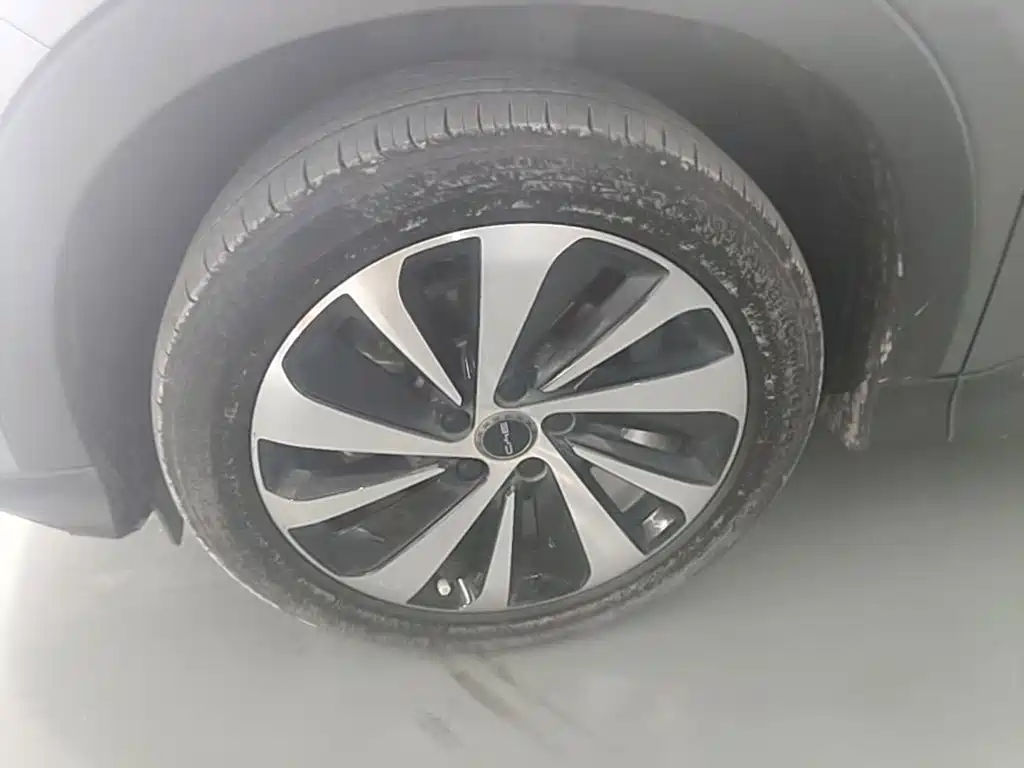 BYD PLUS New Energy — миниатюра 23