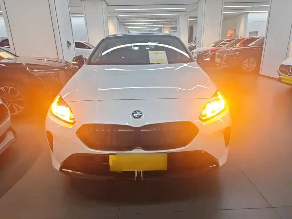 BMW 2 Series — миниатюра 3