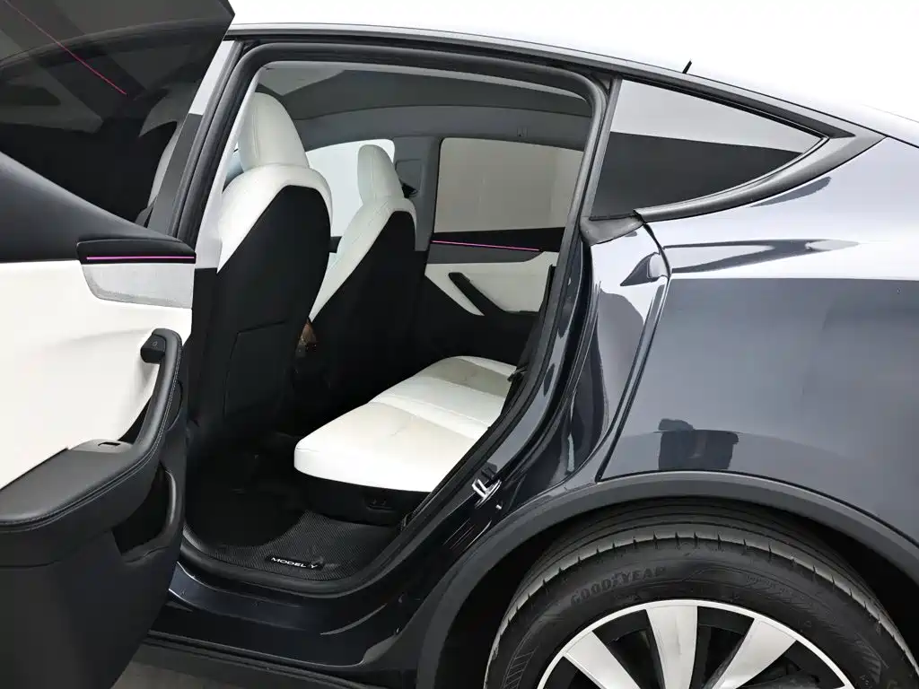 Tesla Model Y — миниатюра 13