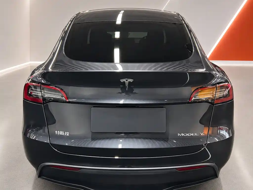 Tesla Model Y — миниатюра 5