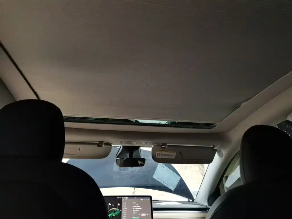 Tesla Model Y — миниатюра 18