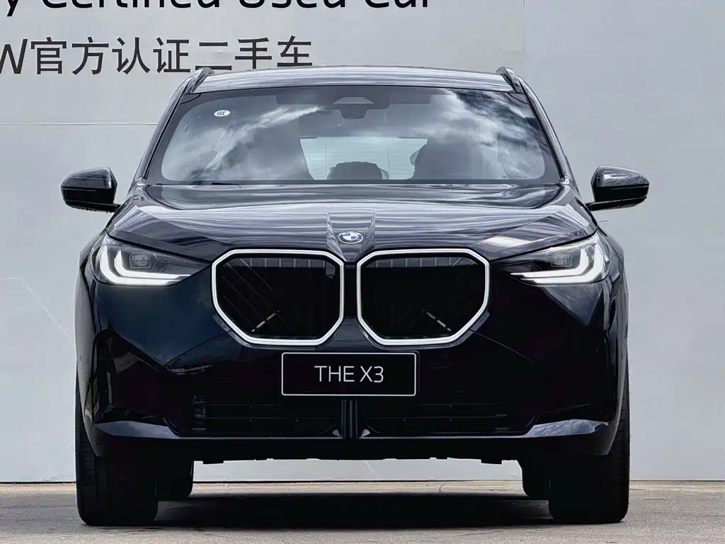 BMW X3 — миниатюра 2