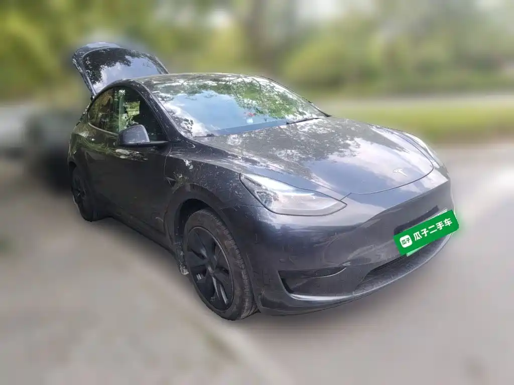 Tesla Model Y — миниатюра 3