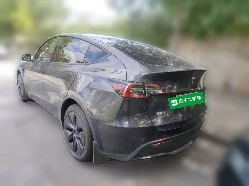 Tesla Model Y — миниатюра 4
