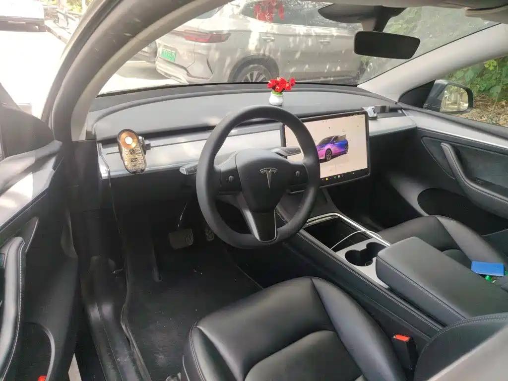 Tesla Model Y — миниатюра 11