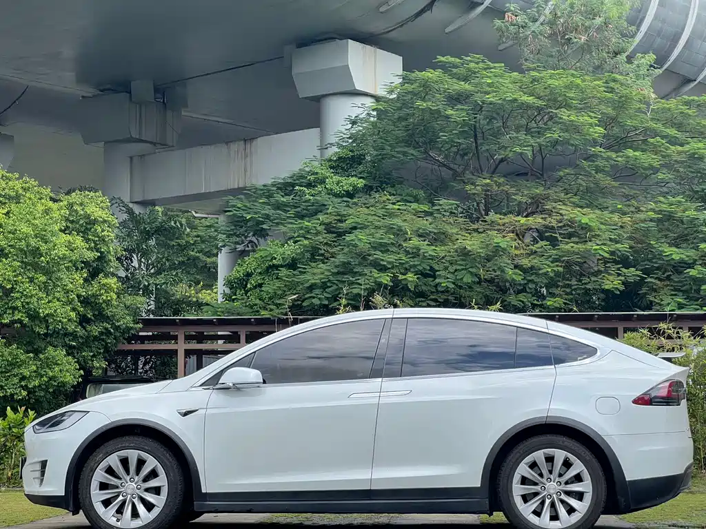 Tesla Model X 2017 Model X 100D