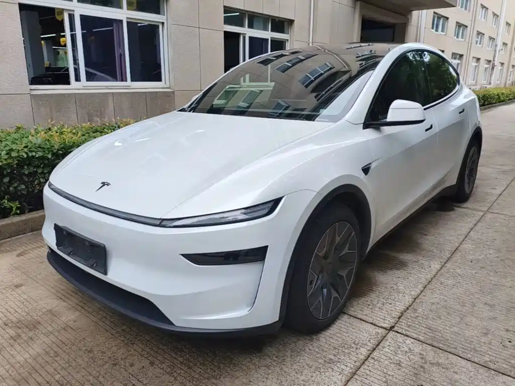 Tesla Model Y L — миниатюра 2