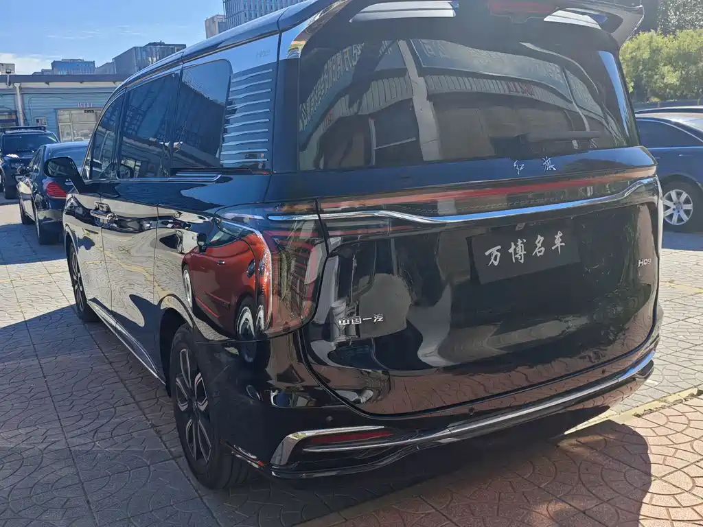 Hongqi Hongqi HQ9 — миниатюра 4