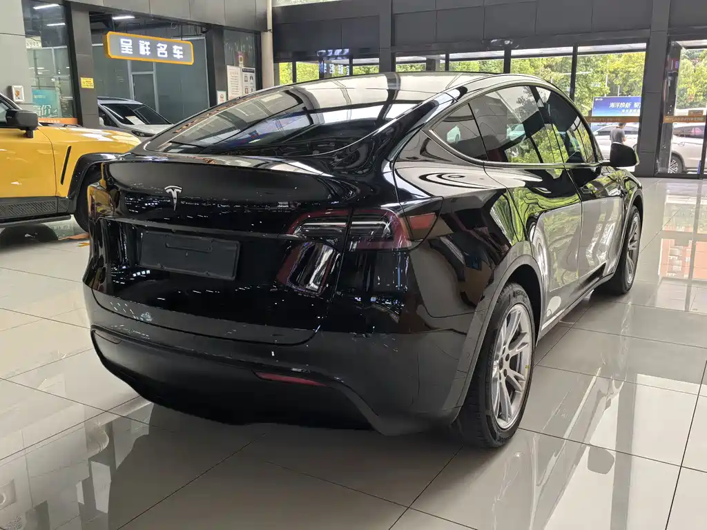 Tesla Model Y — миниатюра 9