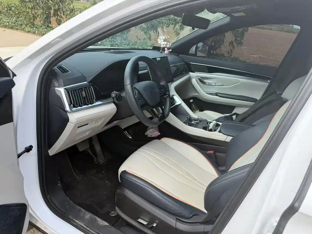 BYD PLUS New Energy — миниатюра 3