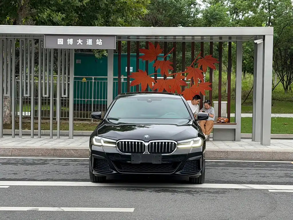 BMW 5 Series — миниатюра 2