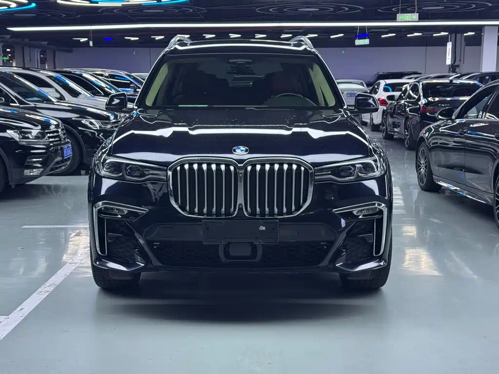 BMW X7 — миниатюра 2
