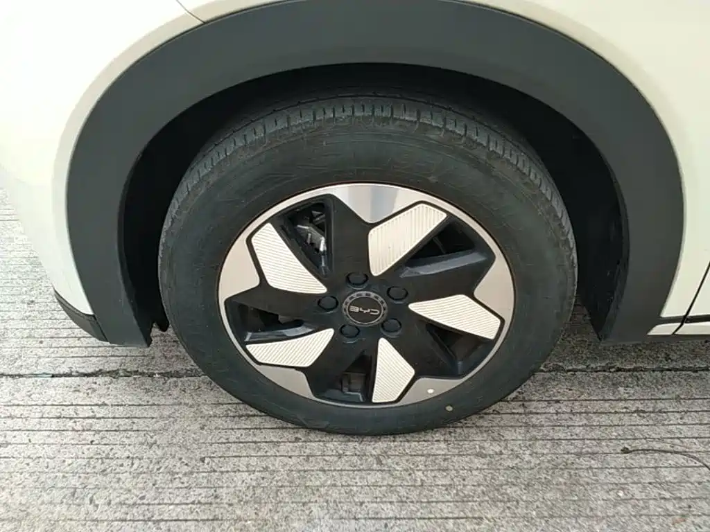 BYD Dolphin — миниатюра 23
