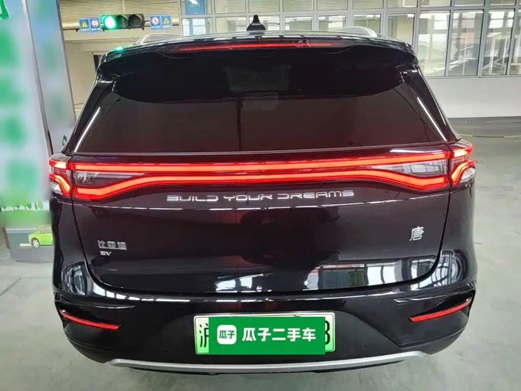 BYD Tang New Energy — миниатюра 6