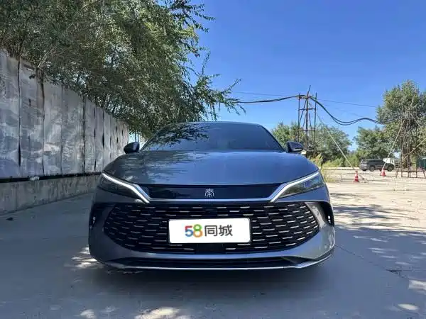 BYD Qin L — миниатюра 2