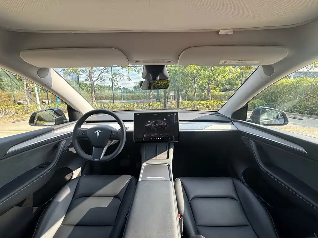Tesla Model Y — миниатюра 7