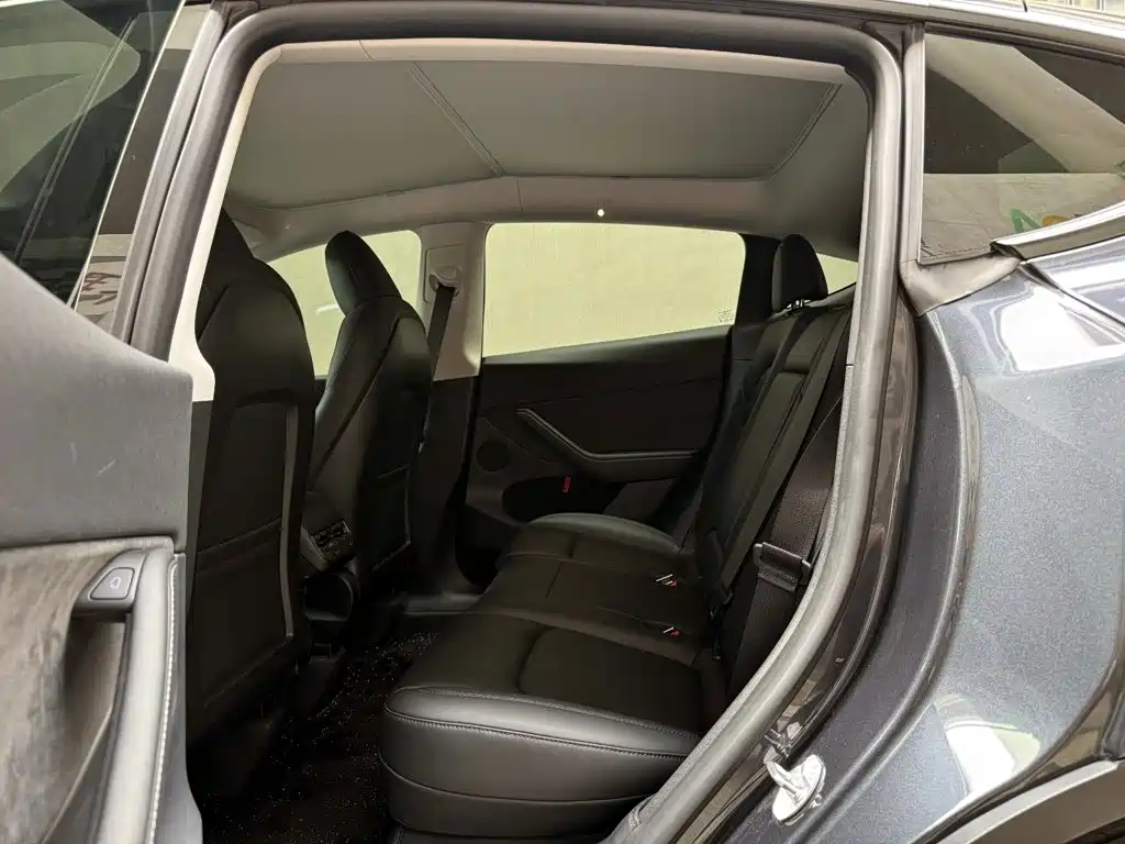 Tesla Model Y — миниатюра 10